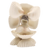 Handmade Shell Ganesha Aesthetic Pooja Decor