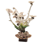 Seashell Flower Tree Decor