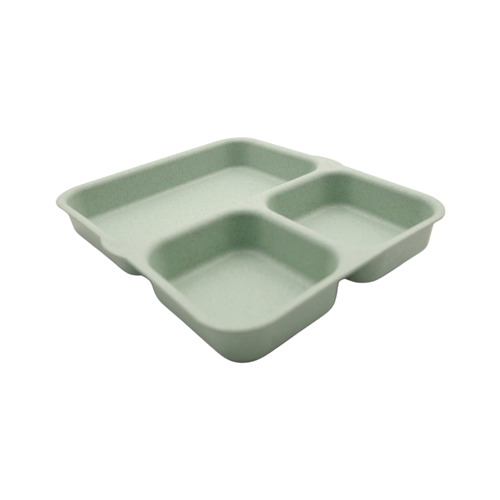 Wheatgrass Tiffin Plate Eco Divided Plate for Everyday Meals