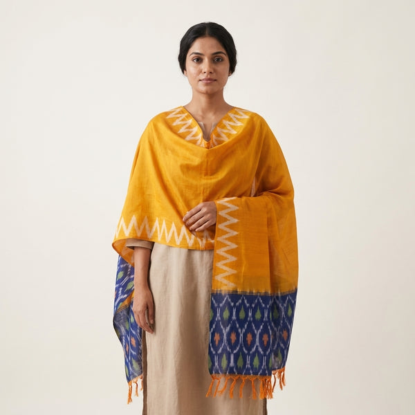 Pochampally Dupatta 🌿✨ Handwoven Ikat Style Elegance