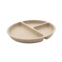 Wheatgrass Section Plate Minimal Eco Plate for Daily Dining