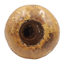Handcrafted Bottle Gourd Elephant Lamp Nature-Inspired Ambient Light