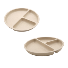 Wheatgrass Section Plate Minimal Eco Plate for Daily Dining