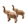 Premium Elephant Pair – Bring Home Luck, Power & Positive Energy