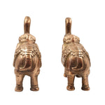 Premium Elephant Pair – Bring Home Luck, Power & Positive Energy