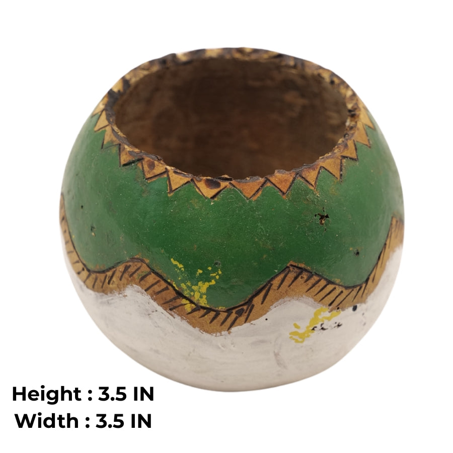 Natural Bottle Gourd Planter 💛🌿 Hand-Painted Decorative Bowl