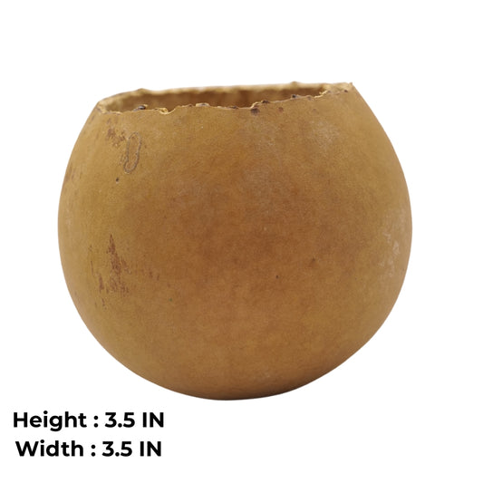 Natural Bottle Gourd Mini Planter Handmade Rustic Bowl