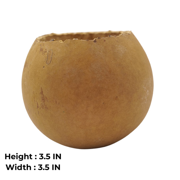 Natural Bottle Gourd Mini Planter Handmade Rustic Bowl
