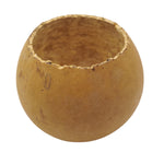 Natural Bottle Gourd Mini Planter Handmade Rustic Bowl