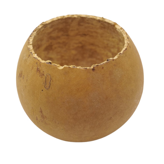 Natural Bottle Gourd Mini Planter Handmade Rustic Bowl