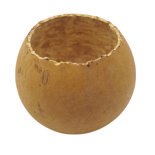 Natural Bottle Gourd Mini Planter Handmade Rustic Bowl