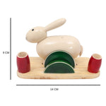 IndiaFx Handcrafted Etikoppaka Pens and Card Holder Stand | 14 CM | Rabbit